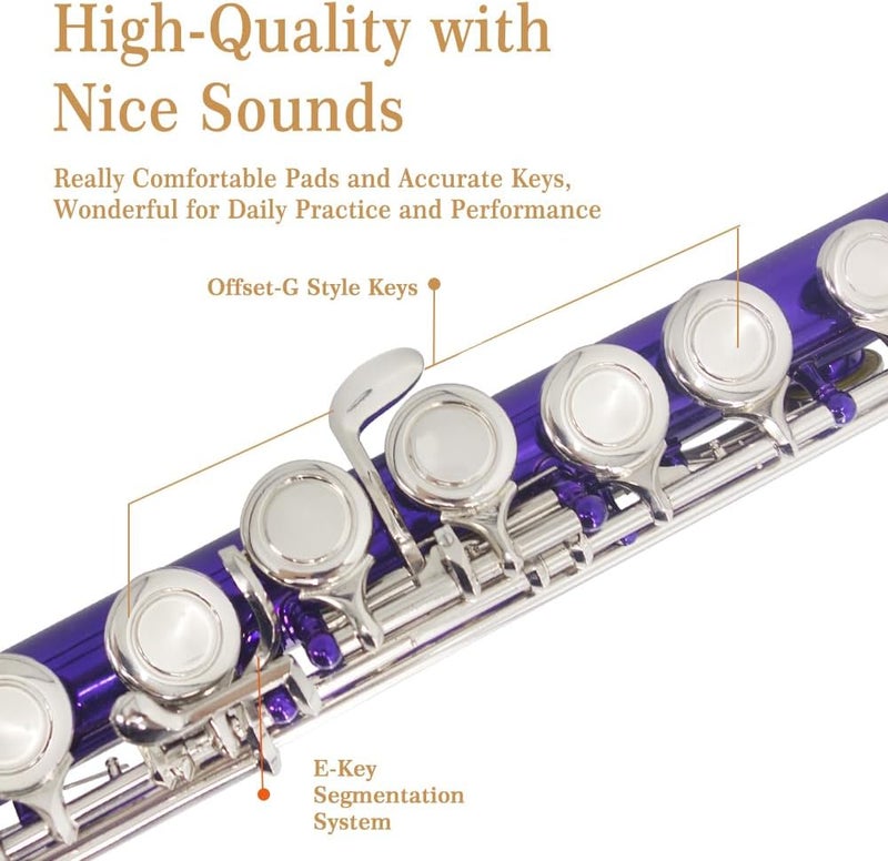 YANASON Purple C Flute Closed Hole 16 Keys Flute Nickel-Plated for Beginner, Student and Professionals with Carrying case, Metal stand, Gloves, Tuning Rod, Cleaning kit(Purple) - Image 3